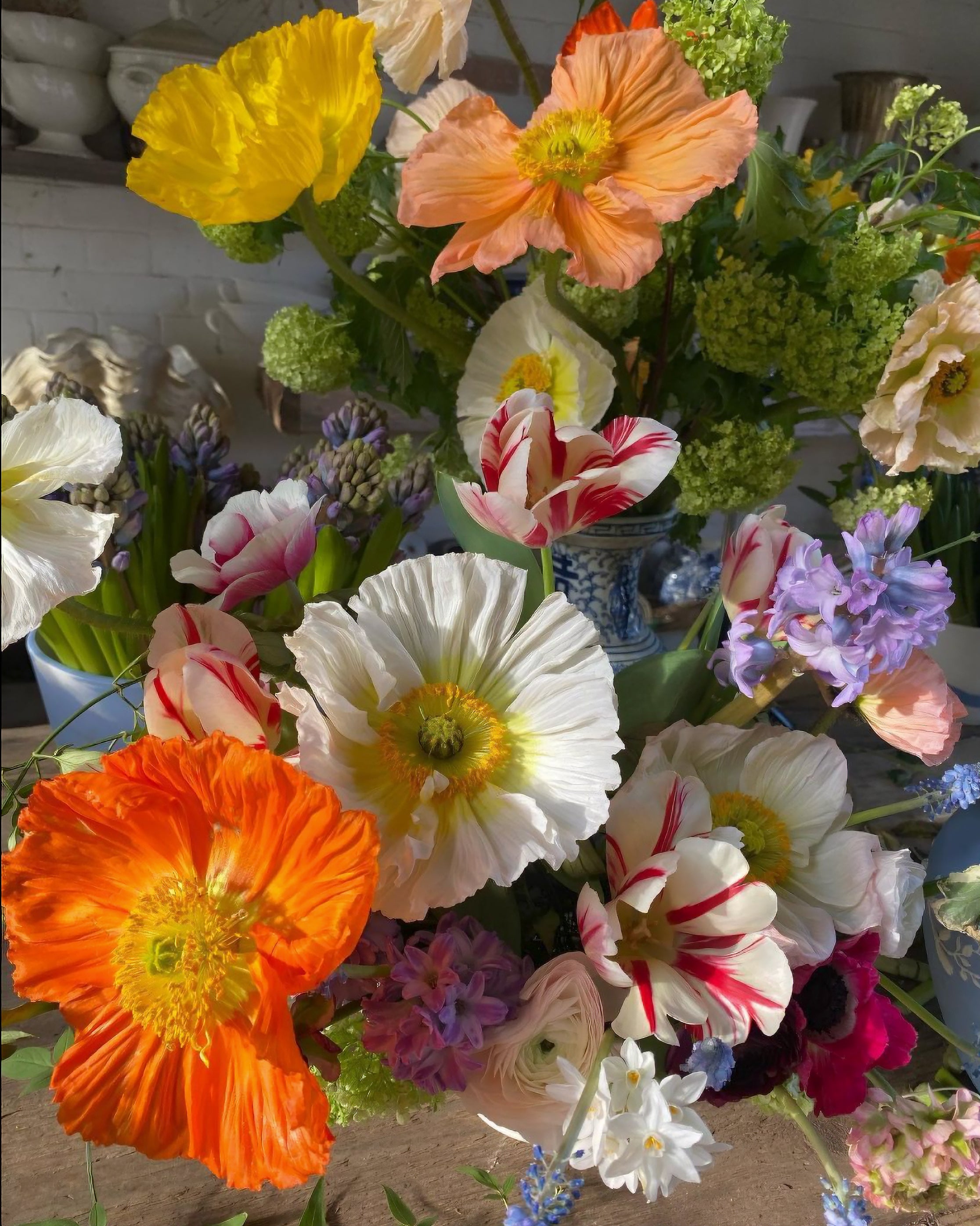 In conversation with: Willow Crossley